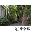 はけの小路入口