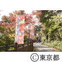 御岳山駅周辺