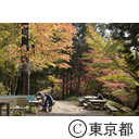 紅葉の長尾平