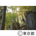 秩父多摩国立公園