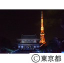 TTF Light and Sound Installation「Coded Field」