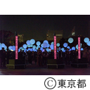 TTF Light and Sound Installation「Coded Field」