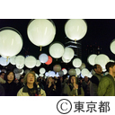 TTF Light and Sound Installation「Coded Field」