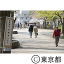 井の頭公園の桜