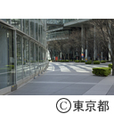 新型コロナウイルスによる影響
