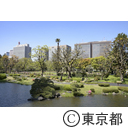 新型コロナウイルスによる影響