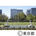 新型コロナウイルスによる影響