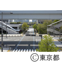 新型コロナウイルスによる影響