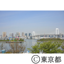 新型コロナウイルスによる影響