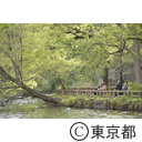 新型コロナウイルスによる影響