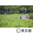 新型コロナウイルスによる影響