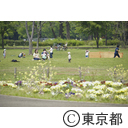 新型コロナウイルスによる影響