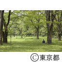 新型コロナウイルスによる影響