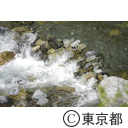 日原川