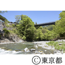 多摩川