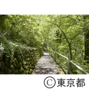 奥多摩駅周辺の様子