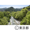 多摩川