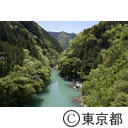 白丸調整池ダム