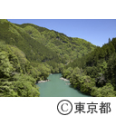 白丸調整池ダム
