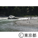 多摩川