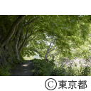 多摩川