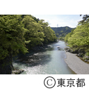 多摩川