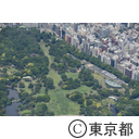 空撮
