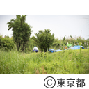 八王子の農業（小比企町）