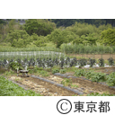 八王子の農業（小比企町）