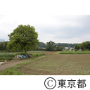 八王子の農業（小比企町）
