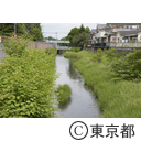 玉川上水の風景（福生）