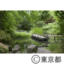 福生の風景（中福生公園）