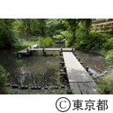 福生の風景（中福生公園）