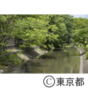 福生の風景（玉川上水）