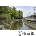福生の風景（玉川上水）