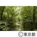 玉川上水の風景（福生）