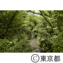 玉川上水の風景（福生）