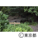 竹林公園