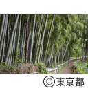 竹林公園