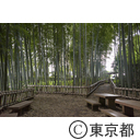 竹林公園