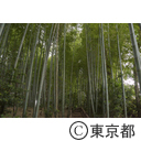 竹林公園