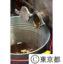 東京の農業 養蜂（はちみつ）