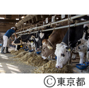 東京の農業 畜産（公財）東京都農林水産振興財団青梅庁舎