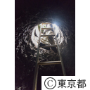 東京の農業 うど農家