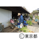 東京の農業 馬込三寸ニンジン