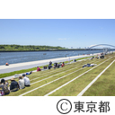 「海の森海上競技場」完成記念レガッタ
