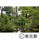 新宿区立おとめ山公園