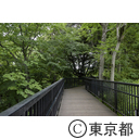 新宿区立おとめ山公園