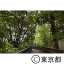 新宿区立おとめ山公園