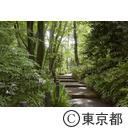新宿区立おとめ山公園